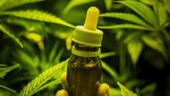 canabitol-694x390 Anvisa fará consultas públicas sobre regulamentar a Cannabis medicinal