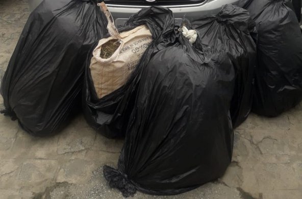 droga-galante-3-592x390 Duas mulheres são presas com mais de 50kg de maconha, em distrito de Campina Grande