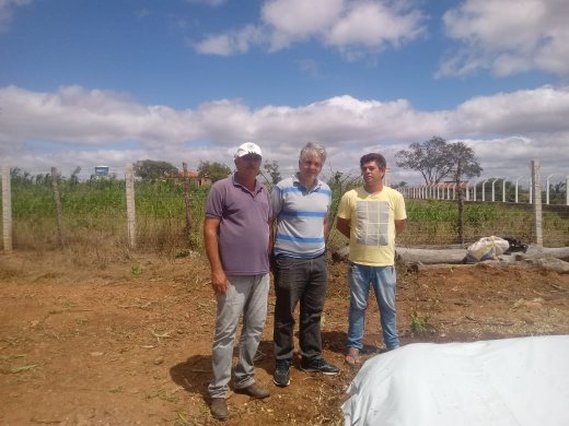 cajo_afredo-520x390 Secretaria de agricultura realiza ação de silagem na Vila produtiva Lafayete à pedido do vereador Cajó Menezes