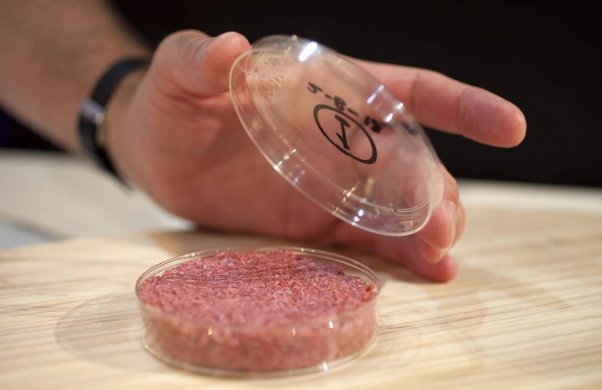 carne-602x390 “Em uma década haverá carne sintética de laboratório”