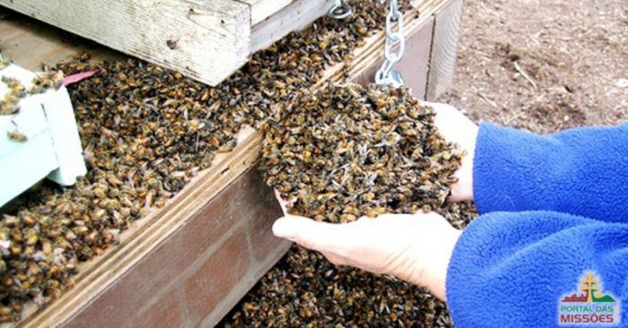 ABELHAS-700x366 Deputado defende projeto que proíbe agrotóxicos que matam abelhas