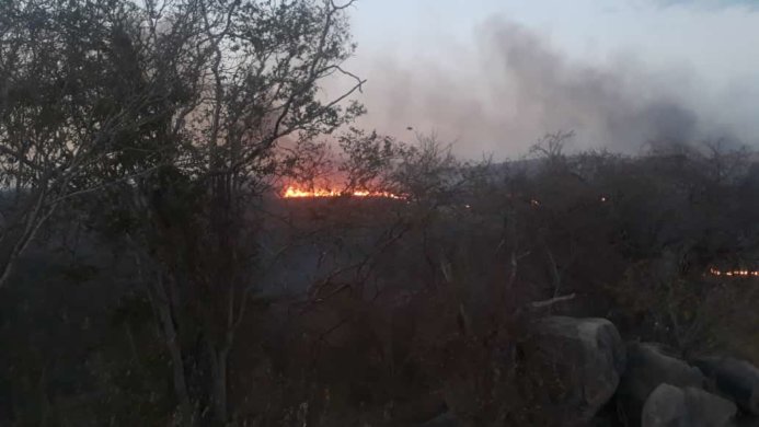 IMG-20191024-WA0267-1-693x390 Incêndio que atinge zona rural de Monteiro, continua sem controle