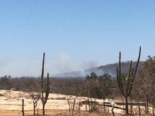 IMG-20191025-WA0118-520x390 Incêndio que atinge zona rural de Monteiro, continua sem controle