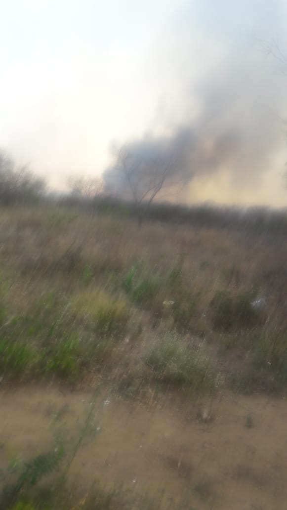 IMG-20191025-WA0134 Incêndio que atinge zona rural de Monteiro, continua sem controle