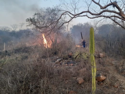 IMG-20191025-WA0292-520x390 Incêndio que atinge zona rural de Monteiro, continua sem controle