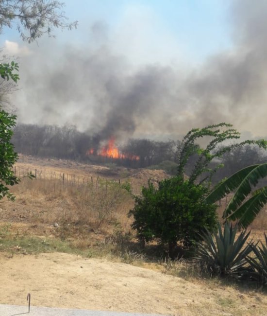 Screenshot_20191025-144541_WhatsApp-550x650 Incêndio que atinge zona rural de Monteiro, continua sem controle