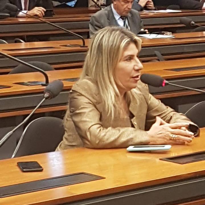 edna-henrique-deputada-federal Deputada Edna Henrique poderá desistir da reeleição e disputar Prefeitura de Monteiro em 2024