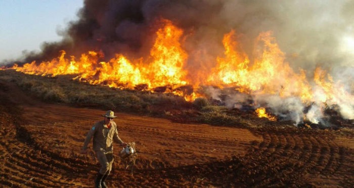 fogo-bombeiros-f1-700x372 Inundação, fogo e praga: Mudança climática causam desastres pelo mundo
