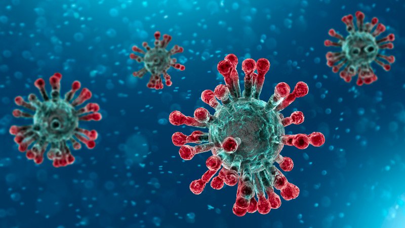 Coronavirus-2 Américas devem sofrer surtos recorrentes de Covid-19 nos próximos dois anos, afirma OPAS