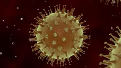 CORONA-VIRUS-BO Número de casos confirmados de coronavírus sobe para 13 em Taperoá