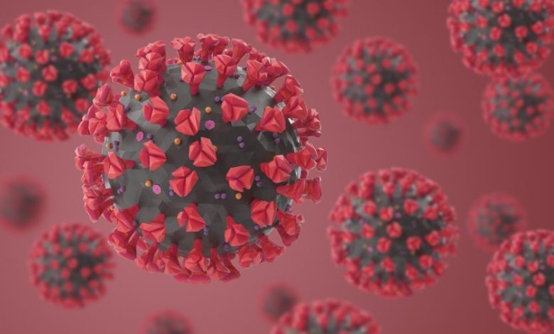 coronavirus-1 Paraíba registra 594 casos de Covid-19 e 10 mortes confirmadas no boletim deste sábado (12).
