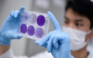 mortes-pessoas Mais de 200 mil pessoas morreram no mundo pelo novo coronavírus