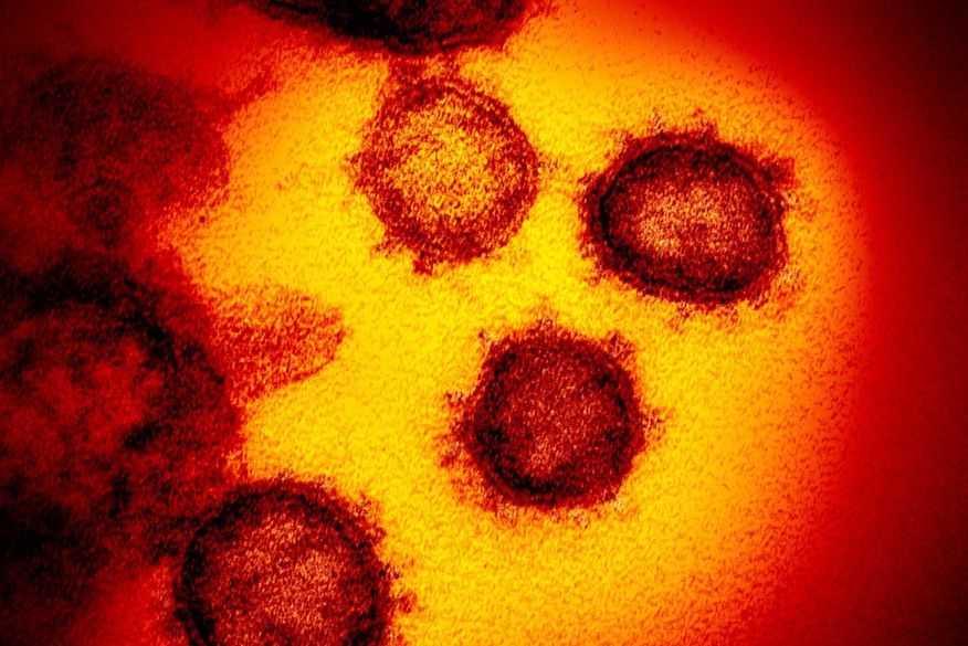 coronavirus_microscopio PB registra queda em contaminações por covid-19 pelo terceiro dia consecutivo
