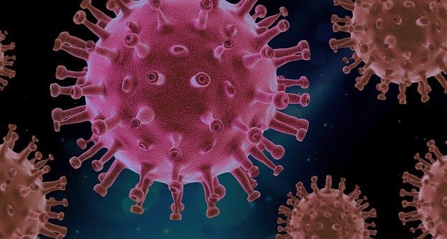 coronavirus-6 Secretaria Municipal de Saúde de Monteiro informa sobre 31 novos casos de Covid-19
