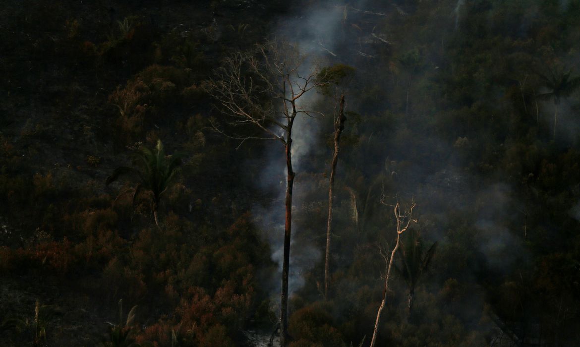 AMAZONIA Ministério confirma recursos para combate a desmatamento na Amazônia