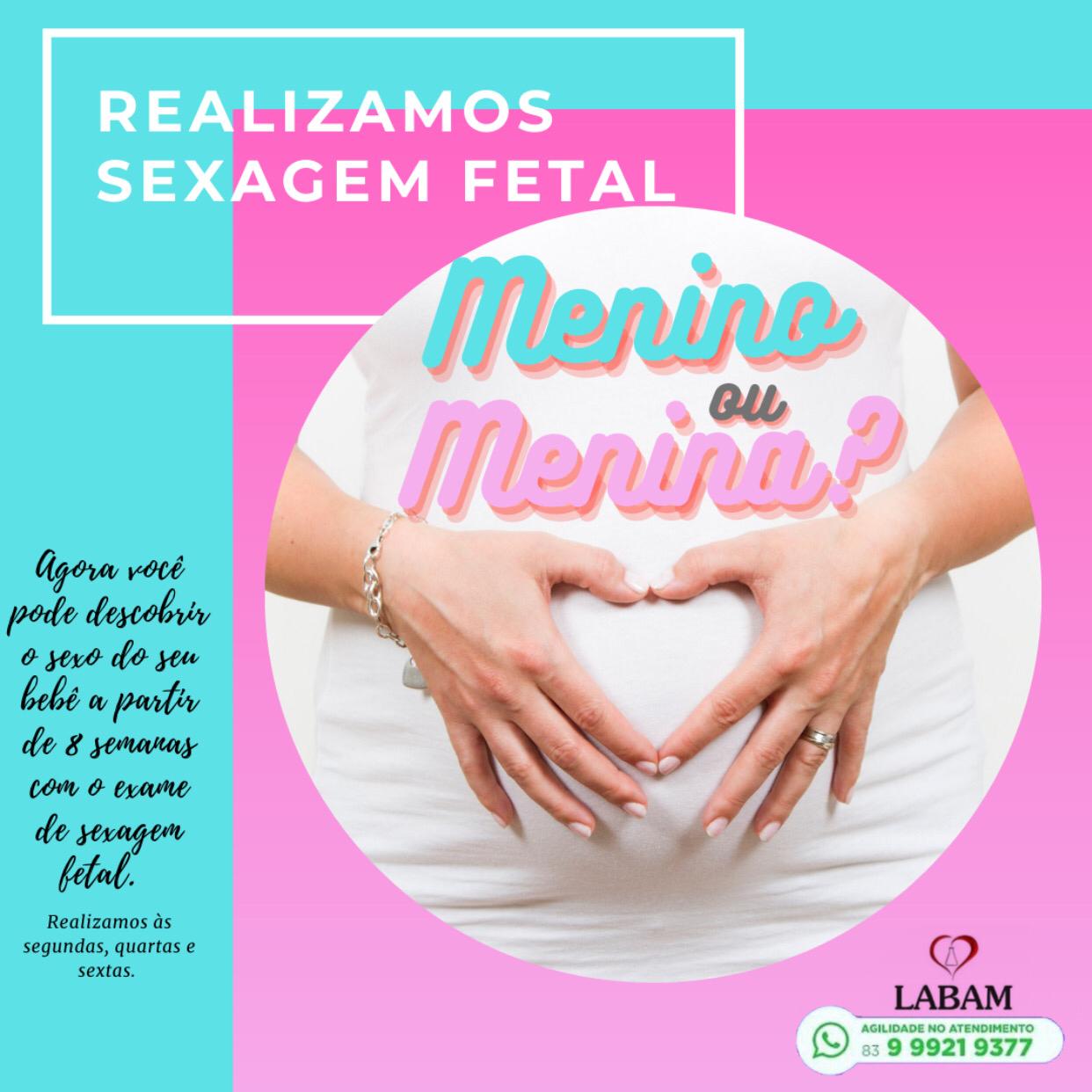 Sexagem fetal, 8 semanas