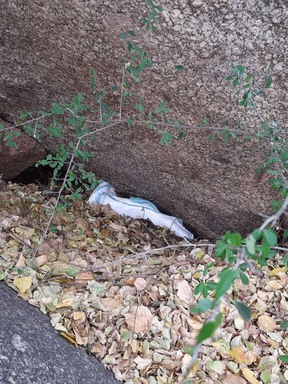 IMG-20201102-WA0311 Em Monteiro: Imagem de Nossa Senhora de Lourdes é destruída na gruta de Santa Catarina