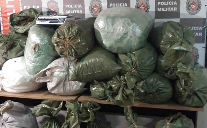 drogasapreendidas3-720x445-1 Polícia Militar apreende mais de 200 quilos de drogas na PB