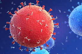 COVID-ANTICORPOS SP: 21% dos infectados pela Covid-19 não têm mais anticorpos