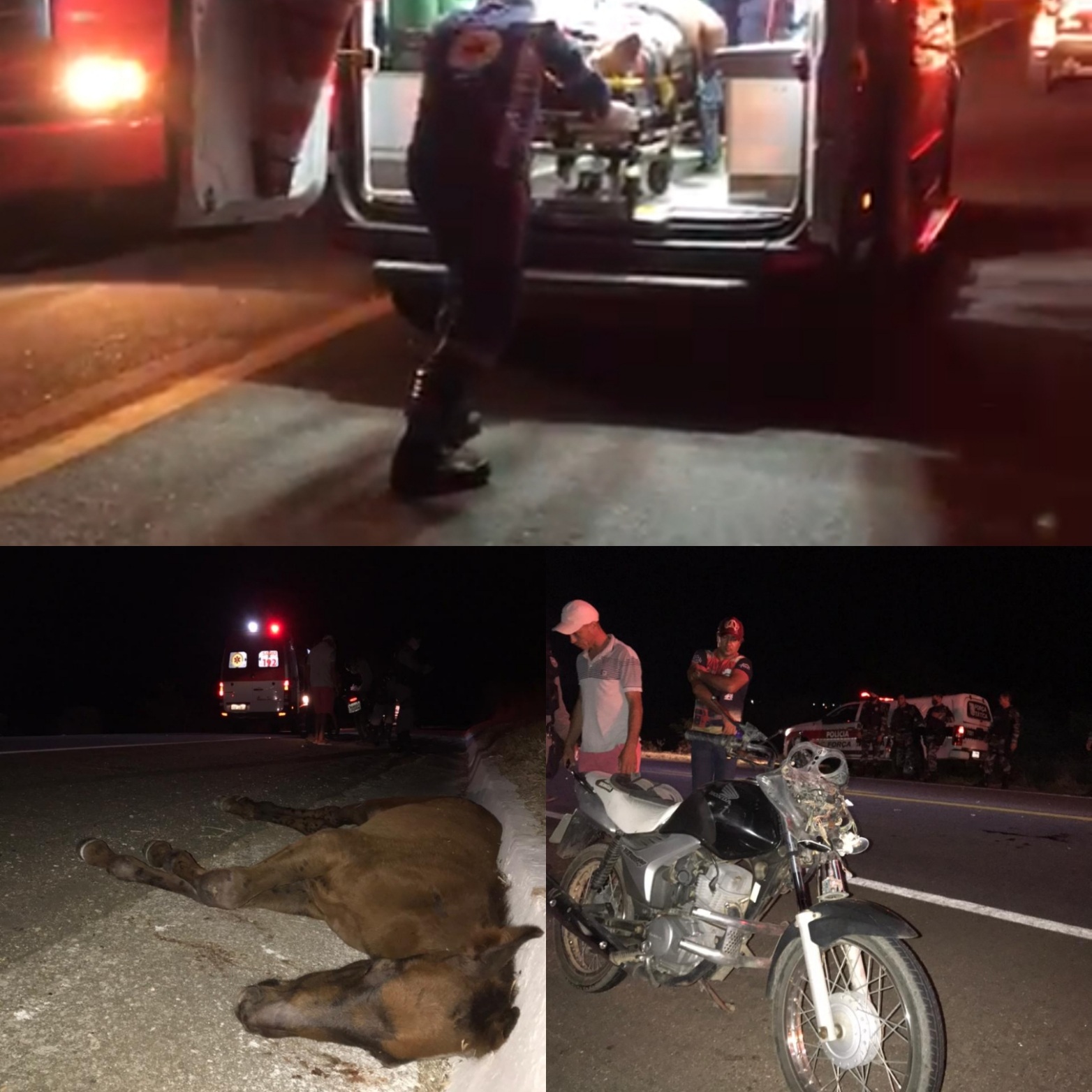 IMG_20210119_000406 Motociclista fica ferido após colidir com cavalo na BR-412, em Monteiro