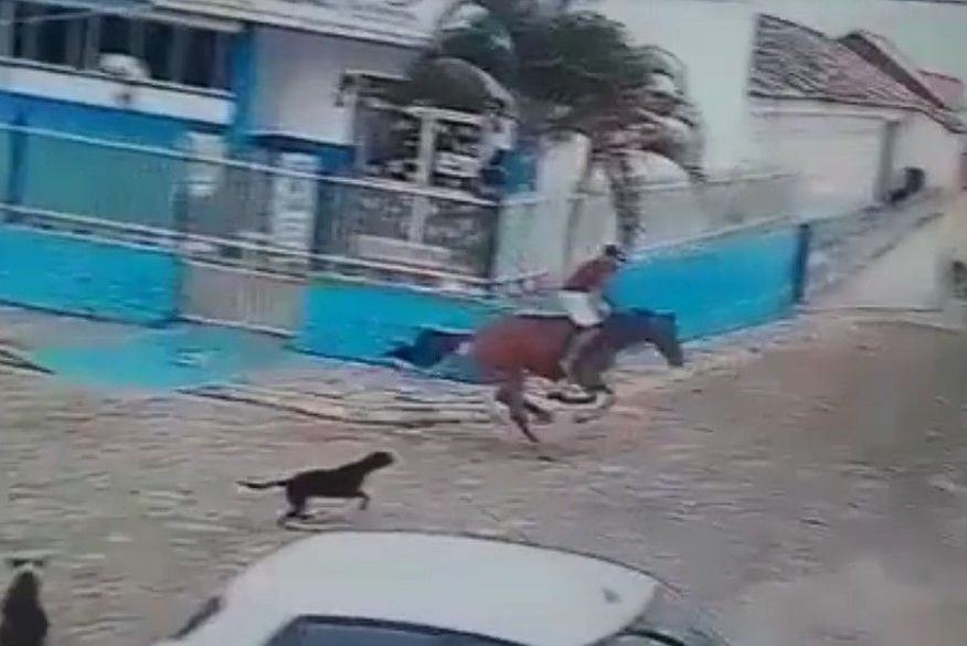 cavalo_desgovernado Homem morre após cavalo desgovernado se chocar contra muro na cidade de Serraria