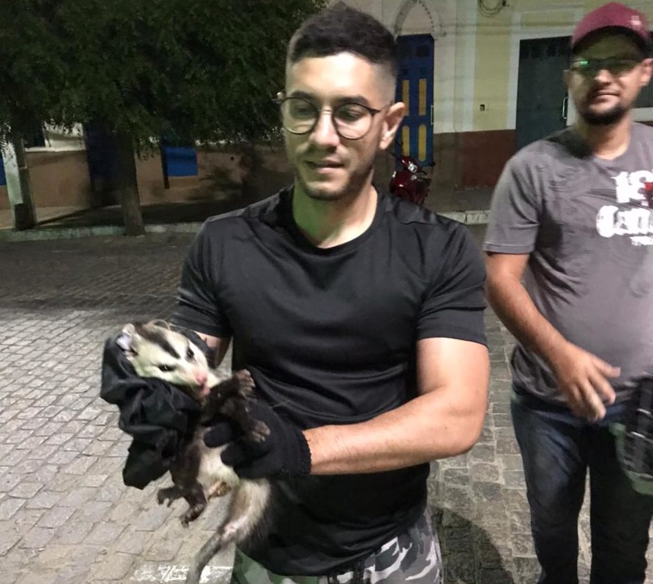 IMG-20210202-WA0184-e1612315793434 Cassaco é resgatado em parque de diversão na praça João Pessoa em Monteiro