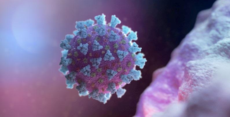 ilustracao-em-3d-representando-o-novo-coronavirus Reino Unido identifica seis casos da variante brasileira do coronavírus