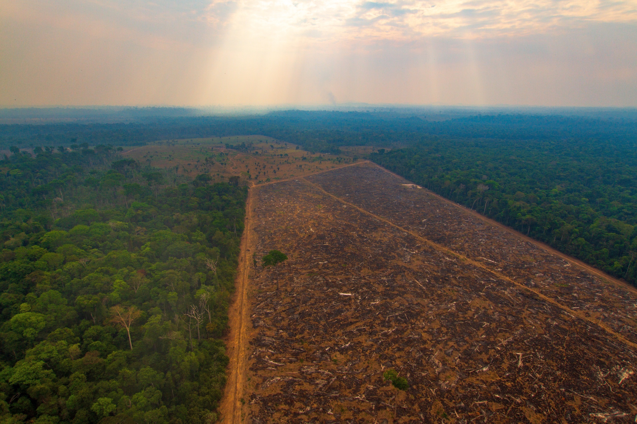 desmatamento-amazonia-1583883706 Desmatamento da Amazônia em março bate recorde e é o maior dos últimos seis anos