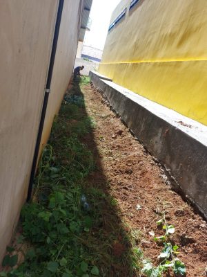 Bairro-Bernardino-Lemos-1-1-300x400 Secretaria de infraestrutura realiza completa limpeza em terrenos no bairro Bernardino Lemos