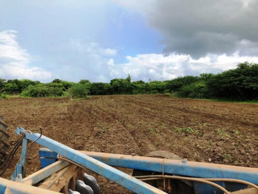 Corte-de-terra3-533x400 Secretaria de Agricultura realiza ações de corte de terra em várias comunidades rurais