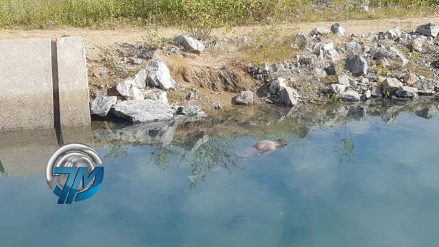 afogado Corpo de homem é encontrado boiando no canal da transposição em Sertânia