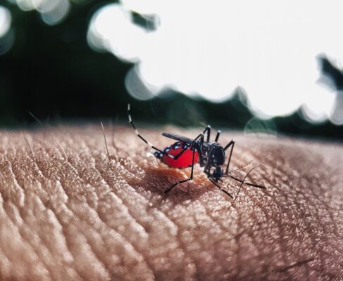 dengue-487x400 Paraíba registra crescimento de mil notificações dos casos de dengue nos municípios