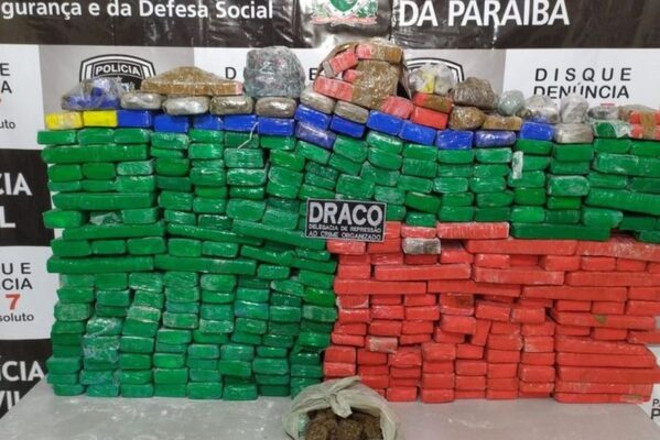 drogas_policia_civil-599x400 Cerca de 350 quilos de maconha são apreendidos em sítio no Sertão da Paraíba