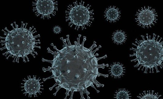 coronavirus-06082021111444654 OMS analisa nova variante que tem potencial para escapar de vacinas