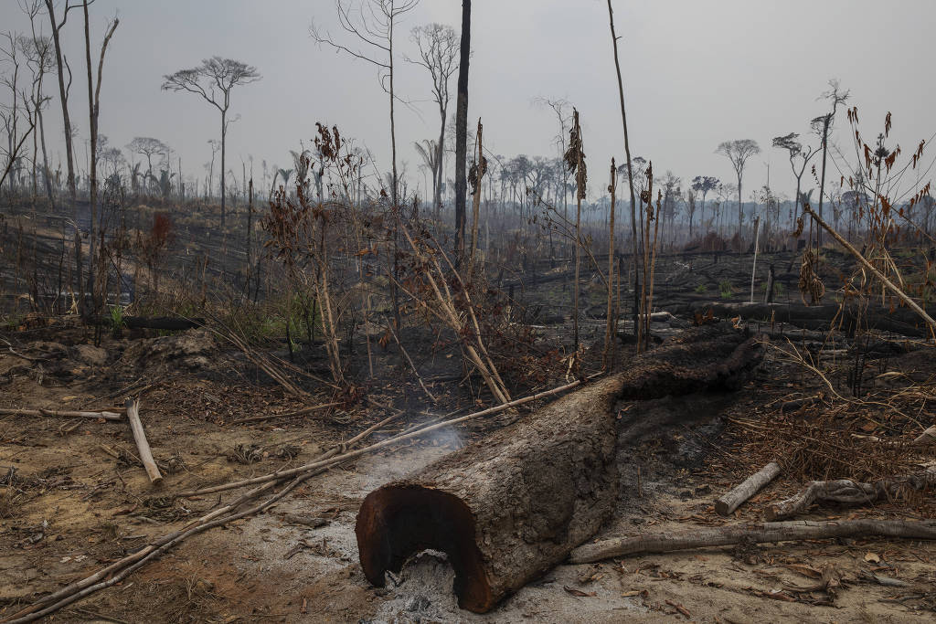 16159096106050d2ea61fc9_1615909610_3x2_lg Crise climática e desmatamento da Amazônia podem deixar 11 milhões de brasileiros sob calor intenso