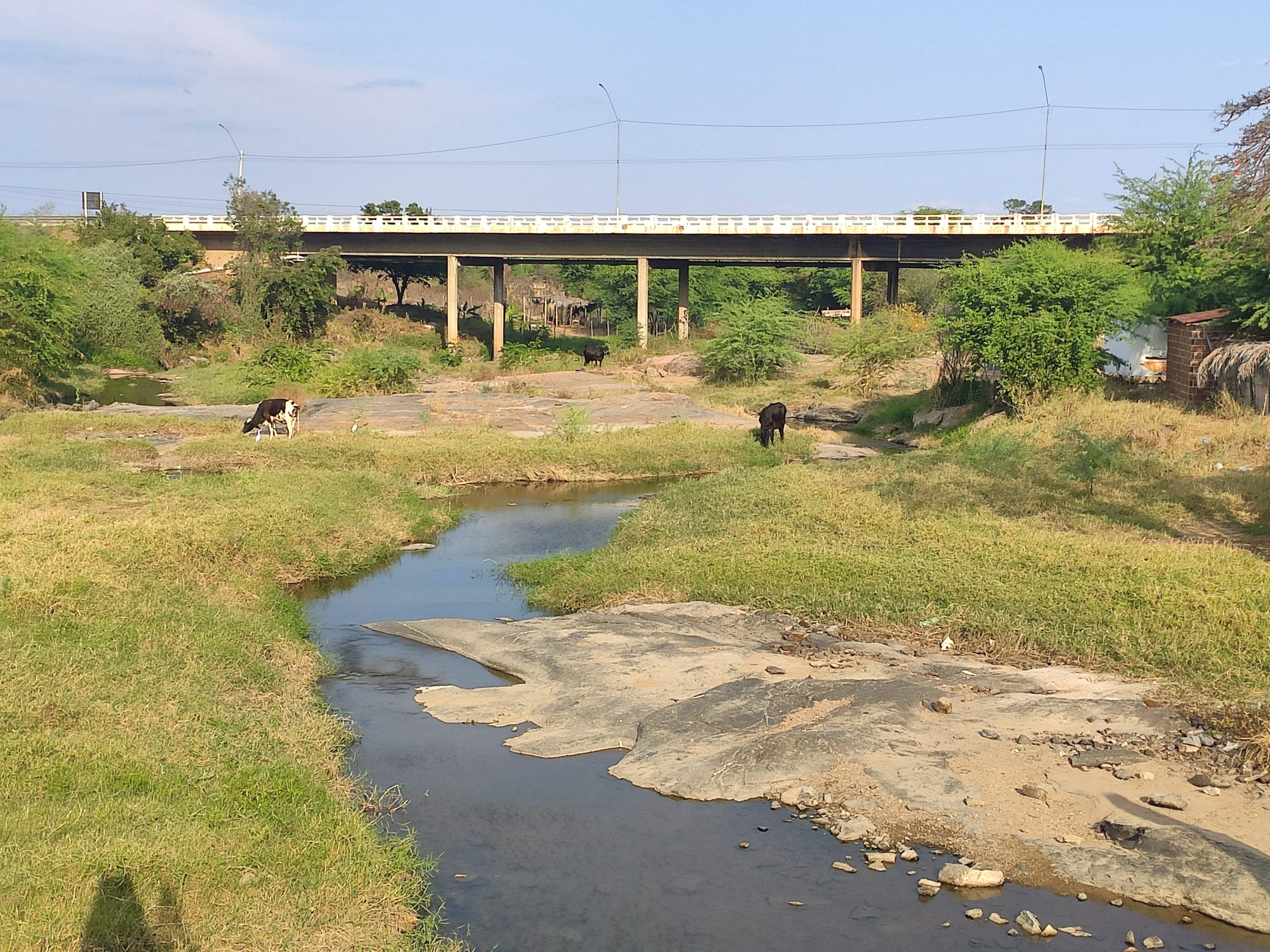 IMG_20211001_154248-scaled Canal da transposição do Rio São Francisco, está sem receber águas em Monteiro