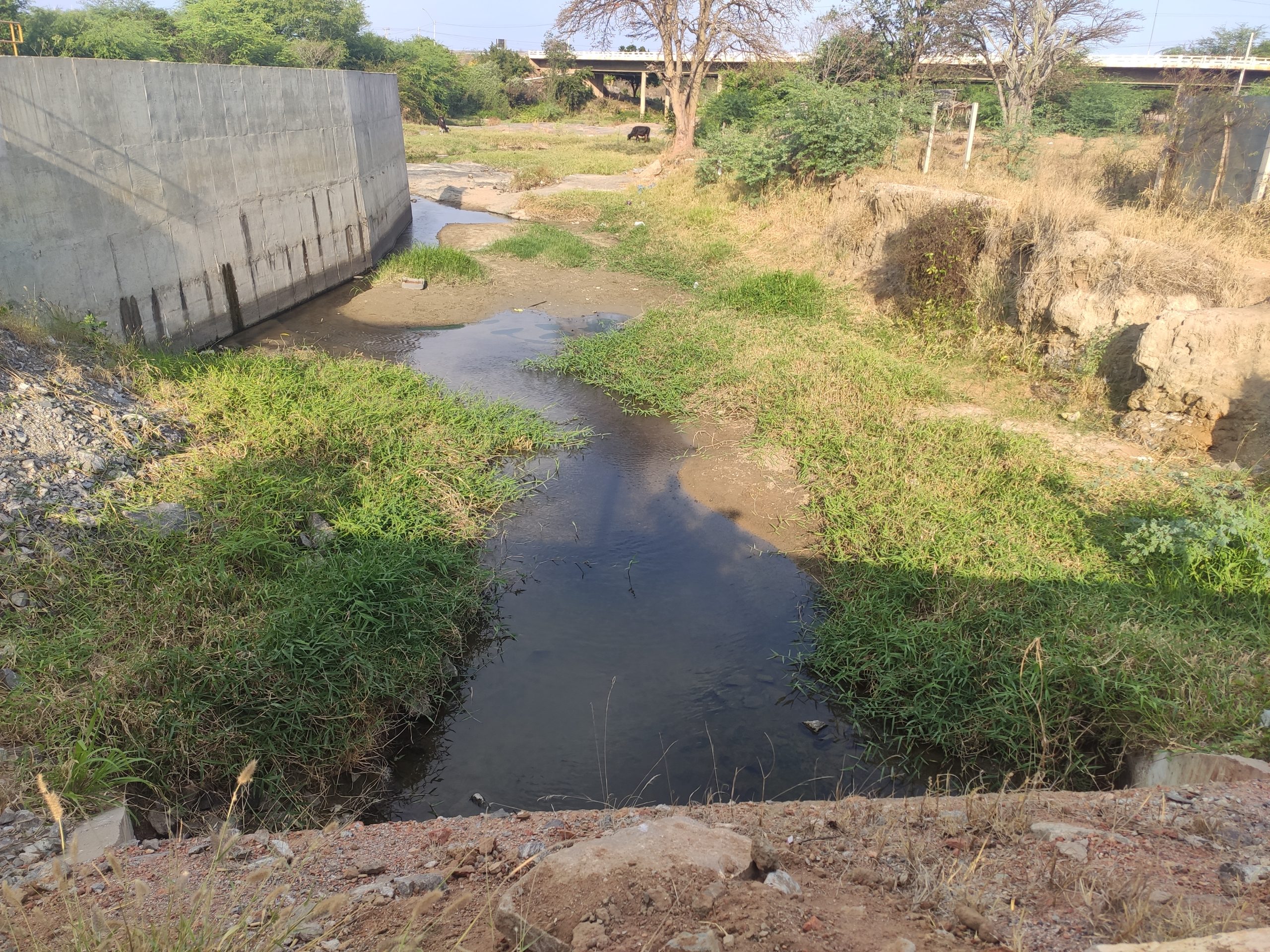 IMG_20211001_154437-scaled Canal da transposição do Rio São Francisco, está sem receber águas em Monteiro