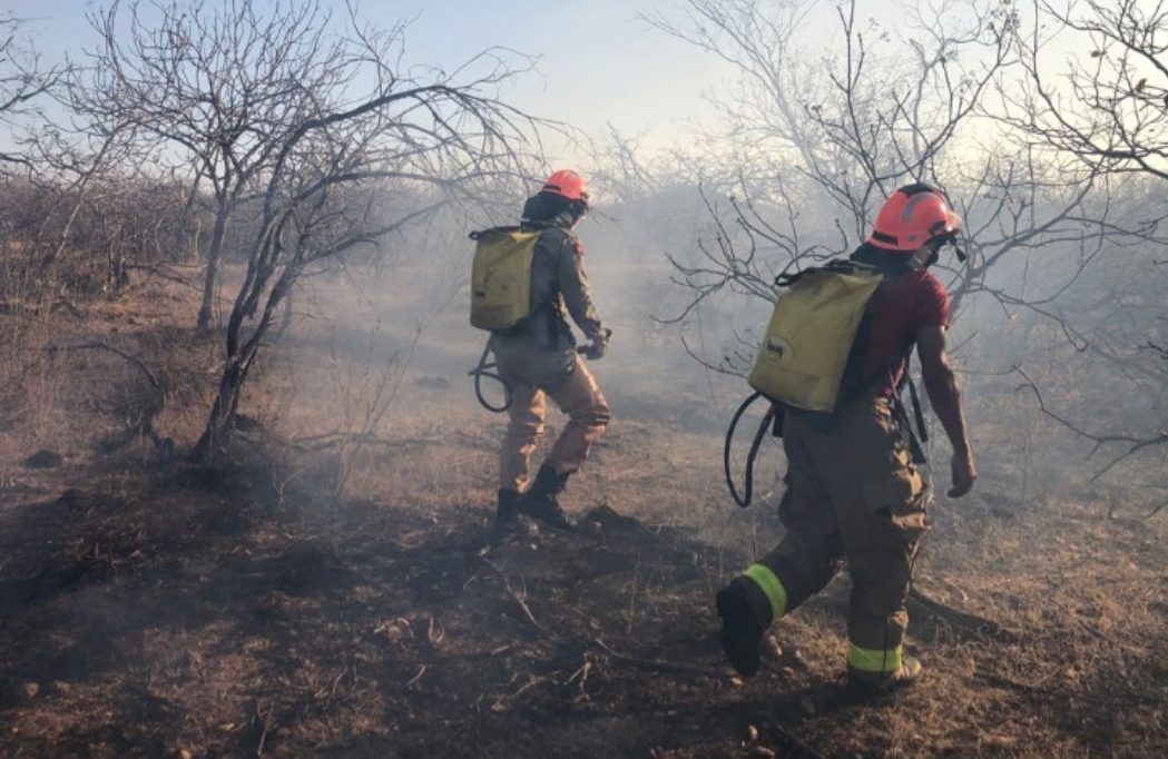 Screenshot_2021-10-16-17-15-08-459_com.instagram.android-e1634428449695 Incêndio atinge zona rural de Sumé e bombeiros atuam no combate às chamas