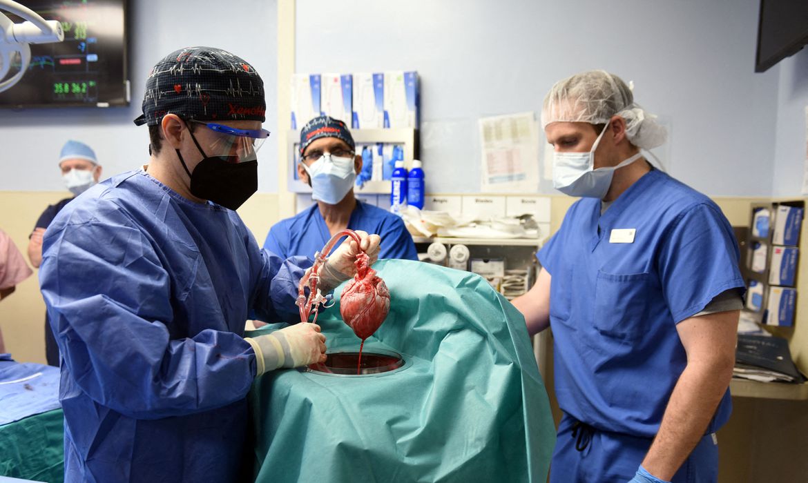 2022-01-11t182429z_1_lynxmpei0a0v3_rtroptp_4_saude-transplante-porco-coracao Homem se recupera após transplante com coração de porco