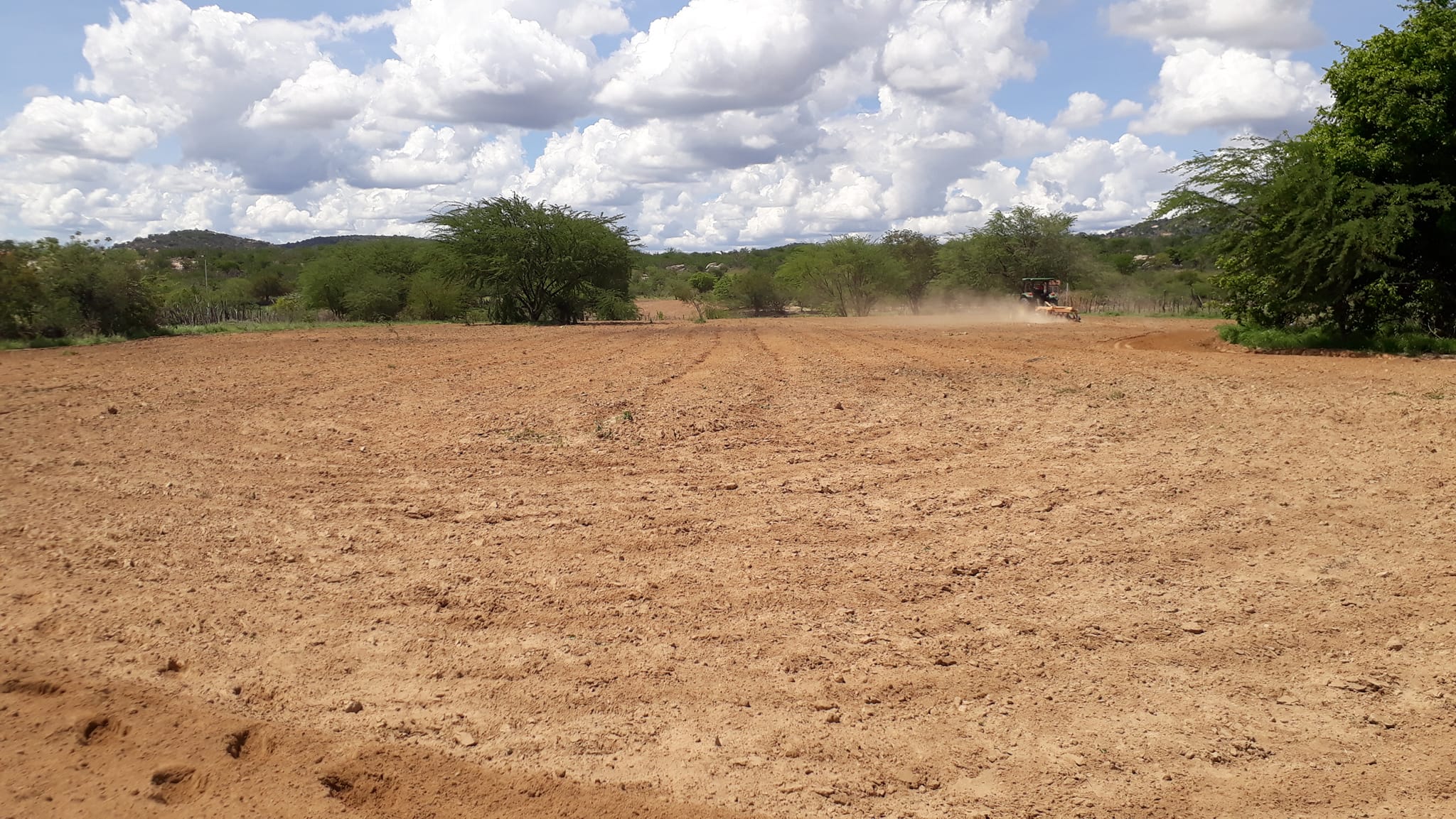 272379380_2102024646614806_2146904264394251602_n Prefeitura de São João do Tigre realiza aração de terras para agricultores do município