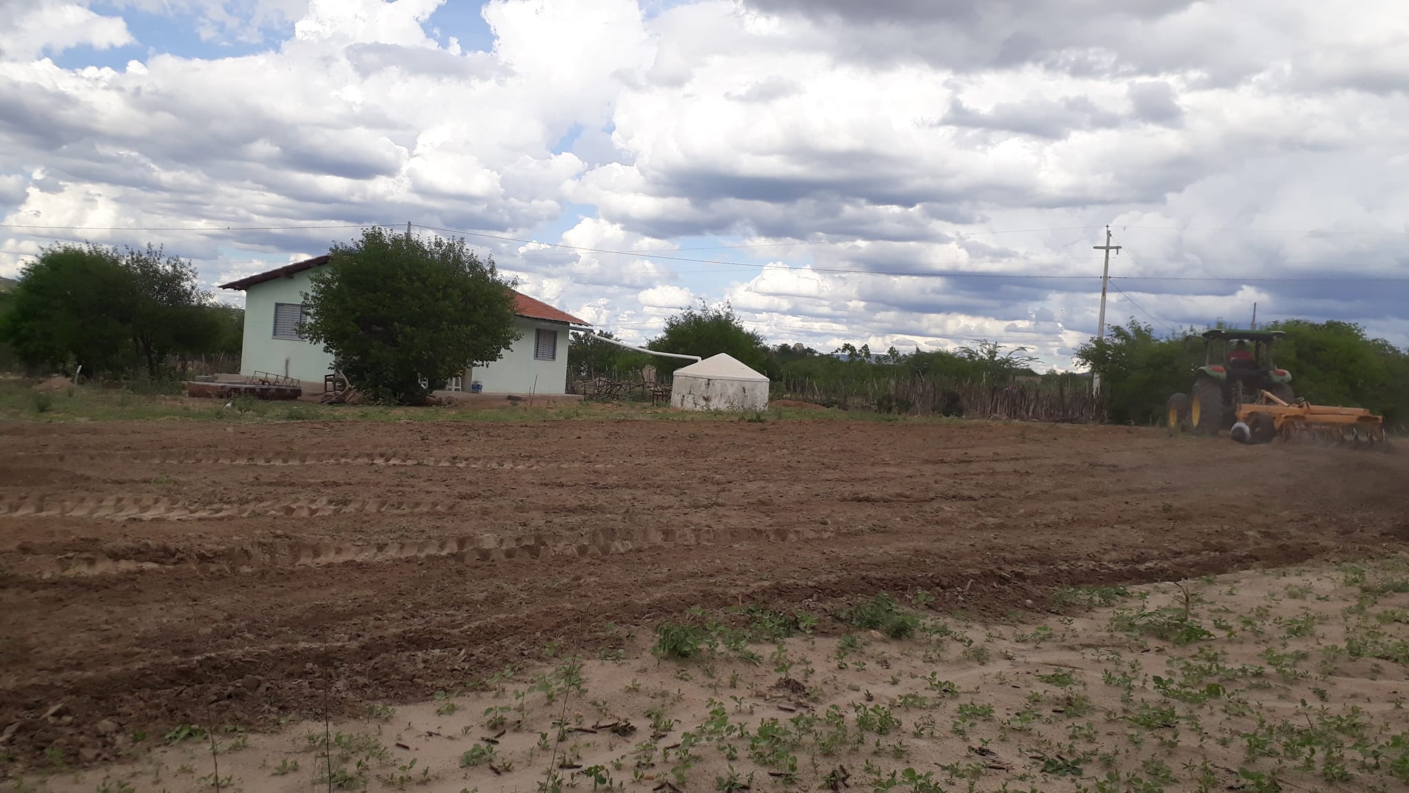 272423231_2102024919948112_5995432781730790704_n Prefeitura de São João do Tigre realiza aração de terras para agricultores do município