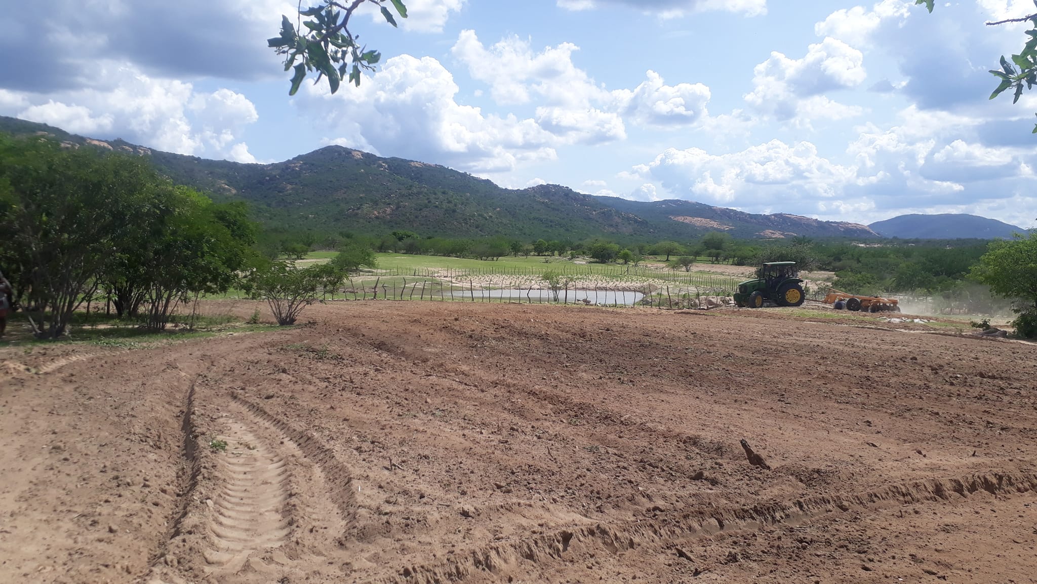 272557923_2102025059948098_1112013432956005141_n Prefeitura de São João do Tigre realiza aração de terras para agricultores do município