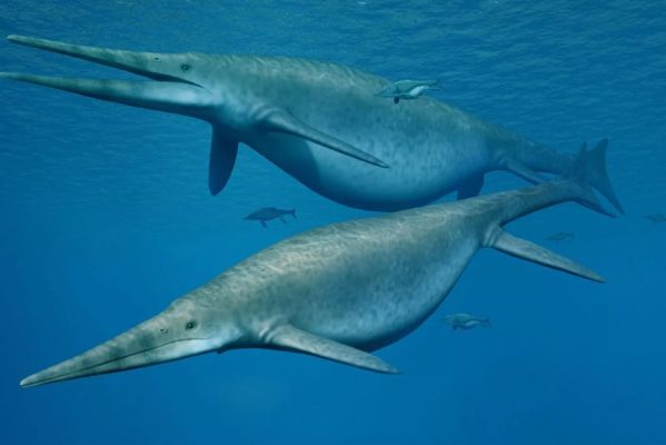 ictiossauro-599x400 Suíça acha fóssil que pode ter sido do maior animal do mundo