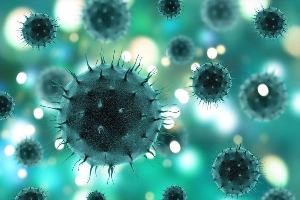 virus-599x400 Crise climática deve facilitar surgimento de novas pandemias