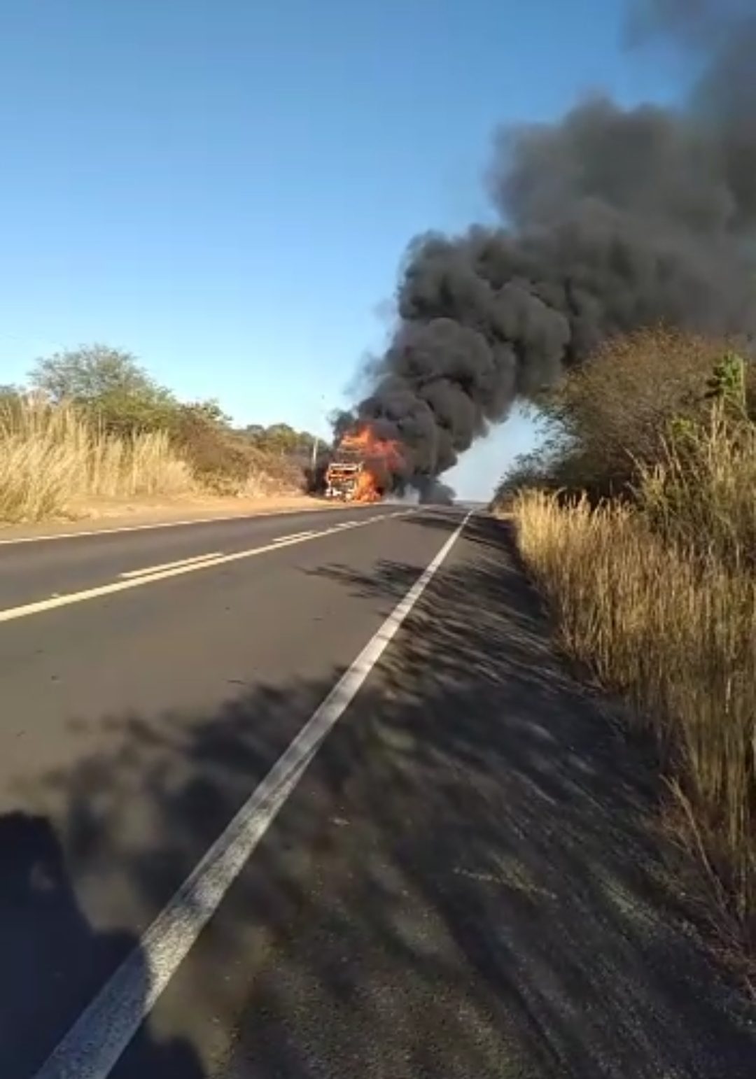 Screenshot_2022-07-21-12-15-28-893_com.whatsapp-e1658416819877 Carreta de monteirense carregada de veículos pega fogo no Piauí