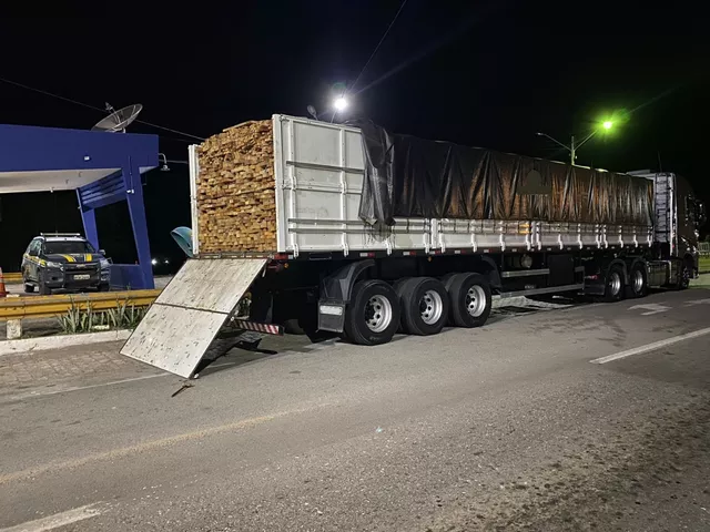 whatsapp-image-2022-08-17-at-09.52.12 PRF apreende carga de 36,5 m³ de madeira ilegal na BR-232, em Sertânia