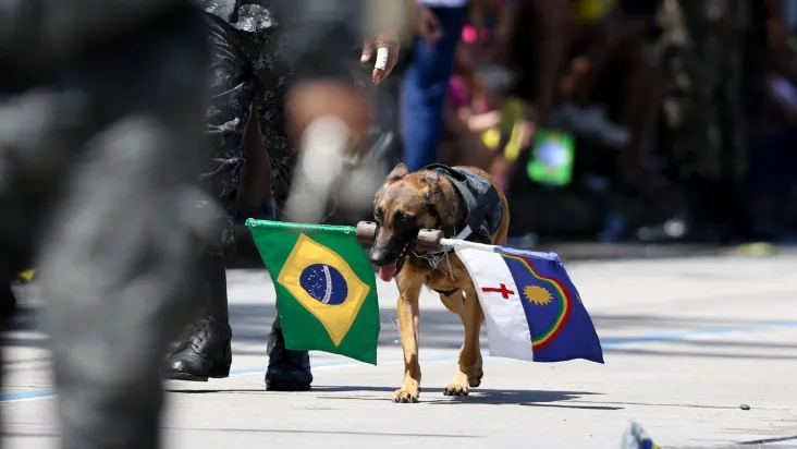 7_setembro-18 Capital do Brasil tem esquadrilha, tratores e desfile no Bicentenário