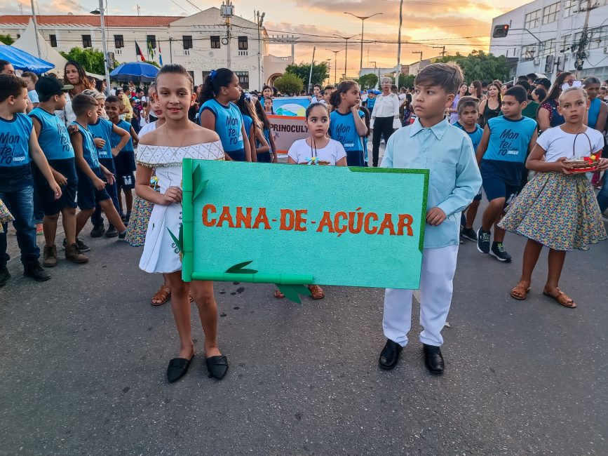 IMG_20220907_171113-867x650 Confira imagens do desfile cívico da Independência em Monteiro
