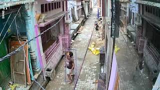 mqdefault VÍDEO: macaco dá golpe de luta livre e joga homem no chão, na Índia