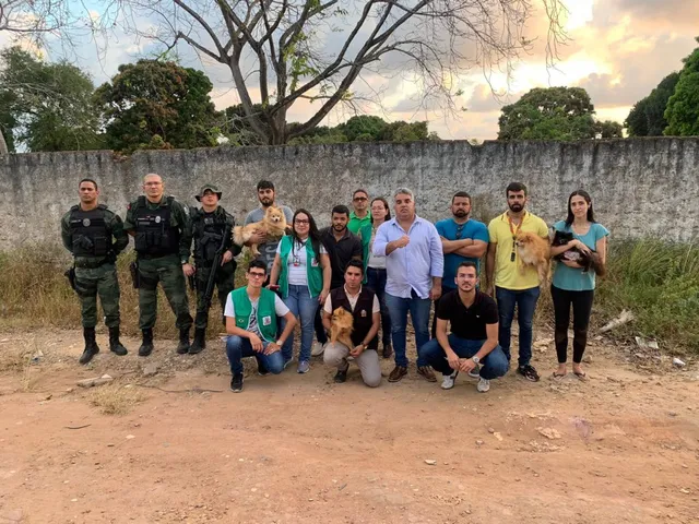 equipe-desarticula-canil-clandestino Mais de trinta cães são regatados de canil clandestino na PB